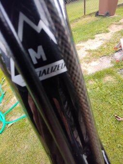 Specialized status 2013 - 9