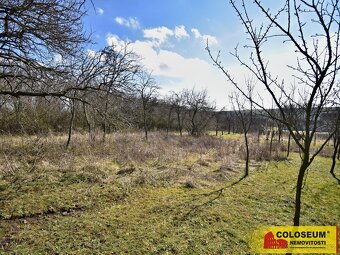 Starý Poddvorov, pozemek - zahrada, 1.891 m2, sítě na hranic - 9