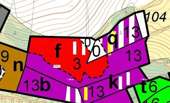 Prodej lesa v k.ú Střížov u Jihlavy 11 837 m2 - 9