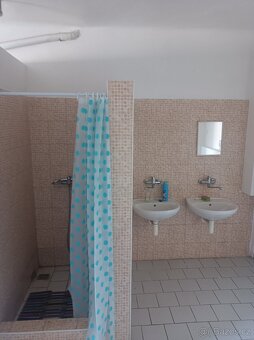 Pronájem domu Plzen u mostu Generála Pattona - 9