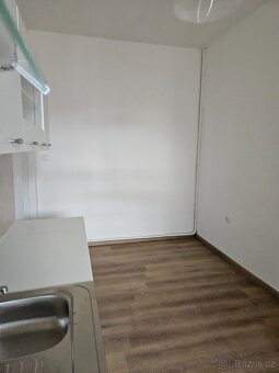 Pronájem 1+1 tř. Kpt. Jaroše, Brno - 9