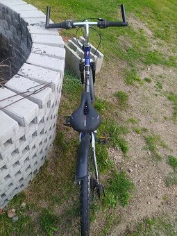 KOLO TECNO RUBINO S ODPRUŽENÍM - vel. 24 - 9