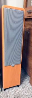 CANTON ERGO 700DC - 9