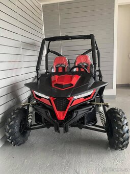 Buggy 208cc - 9