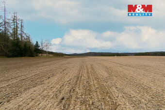 Prodej pole, 5839 m², Předenice - 9