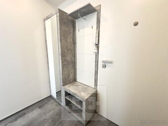 Pronájem bytu 1+1, 18000 kč, 39m2, Boleslavova, ev.č. N08094 - 9
