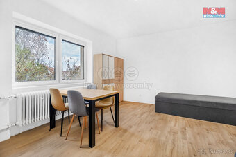 Pronájem bytu 1+kk, 23 m², Plazy - 9