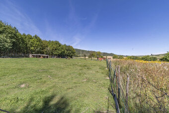 Prodej pozemku 1096 m2 v Sušici - 9