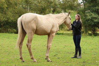 2,5 letí atraktivní a hodní valáškové - 9