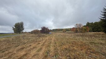 Prodám stavební pozemek 1100m2 Volyně u Výsluní - 9