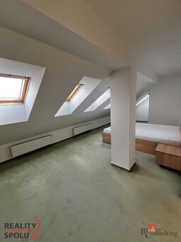Prodej, byty/6 a více, 240 m2, Zacpalova 333/29, Předměstí, - 9
