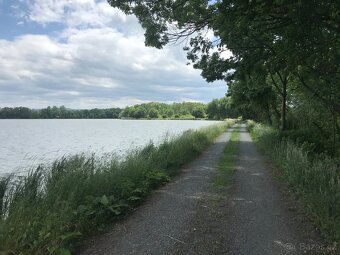 Nabídka pozemku a části výpusti u rybníka Choryně (4246m2) - 9