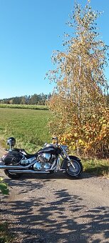 Honda VTX 13000 - 9