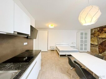 Pronájem bytu 1+kk 46 m² Kobližná, Brno - Brno-město - 9