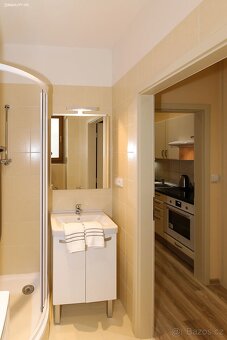 Pronájem bytu 1+1 40 m² Máchova, Praha - Vinohrady - 9