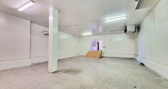Pronájem, komerční prostor 4500 m2, Černožice nad Labem, Krá - 9