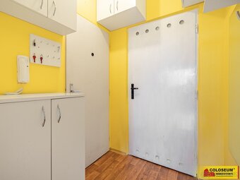 Brno - Řečkovice - pronájem bytu 1+kk, 28 m2, vybavený, skle - 9
