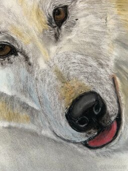 Obraz Strážci Arktiky, pastel - 9