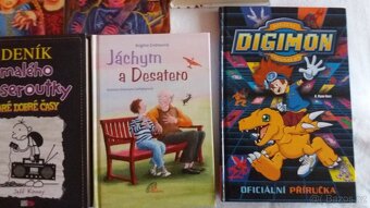 Knihy pro děti a mládež - 9