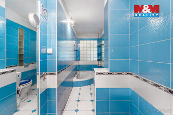 Prodej rodinného domu, 180 m², Háje nad Jizerou - 9