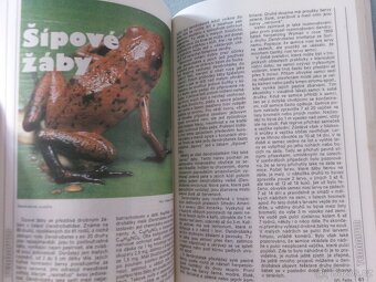 Magazín Akvárium terárium. - 9