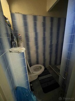 Prodej domu 5+1 Uherský Ostroh. - 9