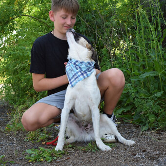 Šteňátko Gump (u nás Adamko) k adopci - 9