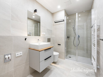 Pronájem bytu 1+kk, Závišova, Nusle, 21900 Kč/měs, 33 m2 - 9