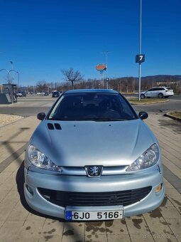 Peugeot 206 gti - 9