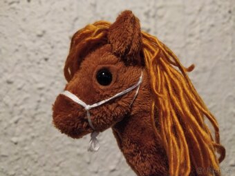 Hobby horse - 9