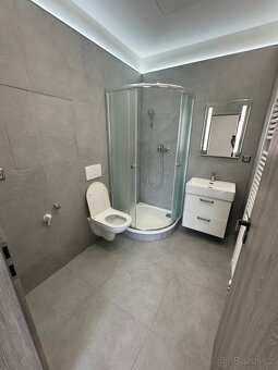 Pronájem bytu 1+kk s šatnou a parkovacím stáním bez provize - 9