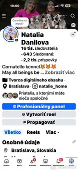 Corgi steniatka s PP. - 9