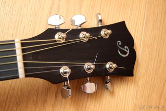 Elektroakusticá kytara Dowina Danubius GACE - 9