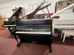 Německé pianino C.Sauter po opravě, se zárukou, PRODÁNO. - 9