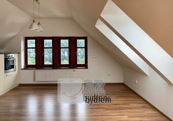 Prostorný mezonet 2kk, 106 m2 po celkové rekonstrukci, skle - 9