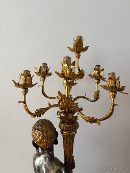 Světlonoš benatský - 9