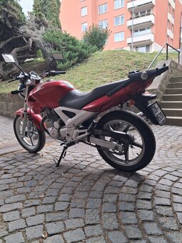 Honda CBF 250 - 9