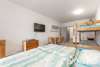 Prodej, byt 1+kk, 40m2, Harrachov - 9