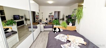 Pronájem prostorné 1kk 45m2 v Břeclavi - Poštorné - 9