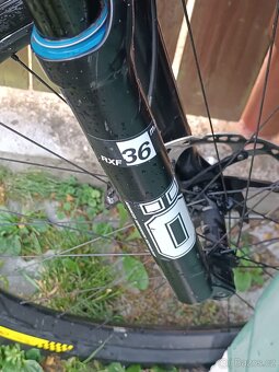 Monraker Foxy RR 2022 - 9