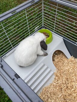 Králík s klecí a vybavením - 9