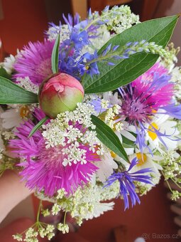 Květiny vhodné pro řez - 9