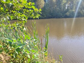 Prodám rybník s přilehlými pozemky v k.ú. Horní Ves - 9