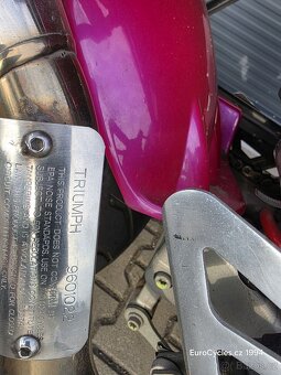 Triumph Speed triple 955i - 9
