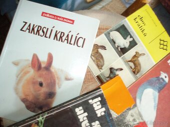 knihy pro chovatele-králíci,holuby,ryby,papoušci,psi,kočky - 9