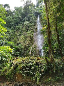 Farma Kostarika Golfito - 9