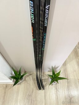 REPAS PRAVAČKY = BAUER PROTO GOLD + BAUER SYNC - 9