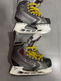brusle Bauer X:60 velikost 6 - 9