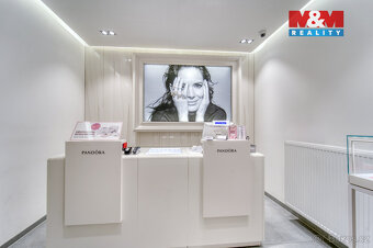 Pronájem obchod a služby, 116 m², Plzeň, ul Bedřicha Smetany - 9