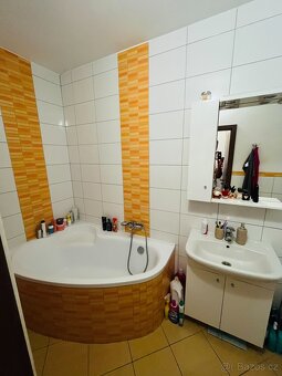 Pronájem byt 2+1 Cihlářská čtvrť - 9